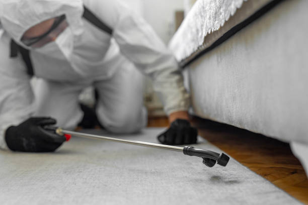 Professional Termite Control technician working in Collierville, TN