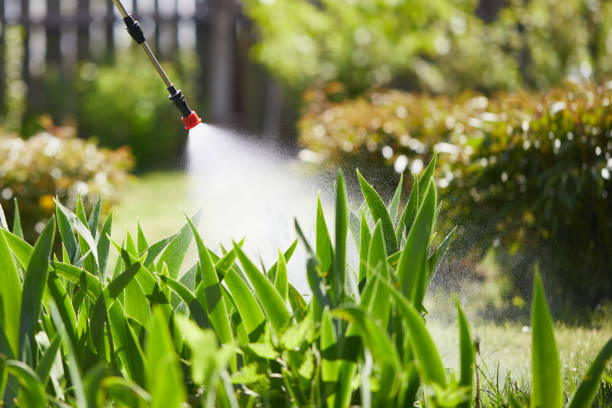 24/7 Emergency Termite Control experts in Collierville, TN